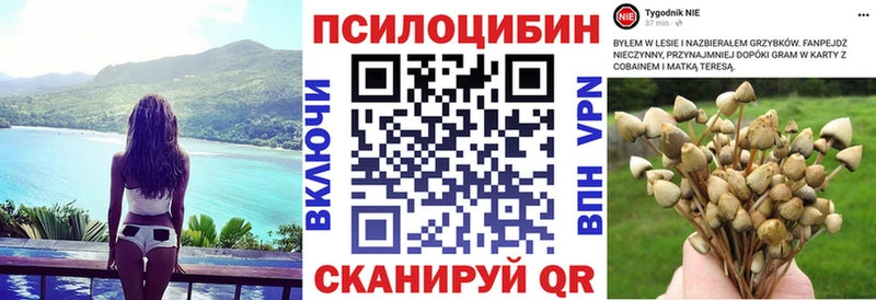 даркнет сайт  ОМГ ОМГ ТОР  Псилоцибиновые грибы Psilocybe  Бахчисарай 