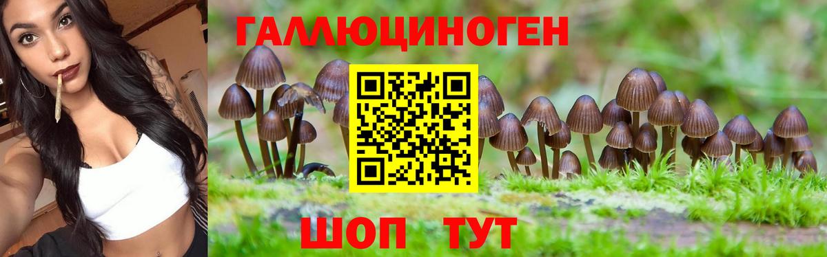 как найти закладки  Галлюциногенные грибы Cubensis  Бахчисарай  Галлюциногенные грибы GOLDEN TEACHER 